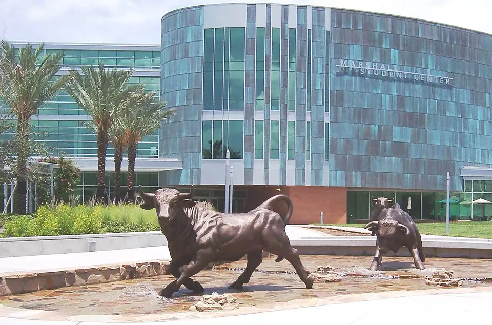 University of South Florida campus